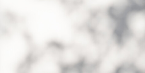 plant leaves sunlight natural shadow overlay on white wall background