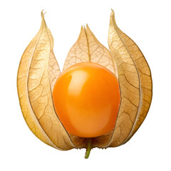 Golden Gooseberry Fruit with Papery Husk cape gooseberry