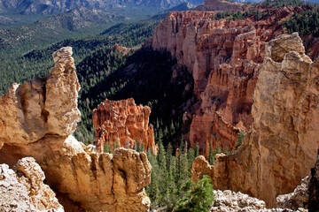 Pinnacle at Rainbow Point, Bryce Canyon Utah USA