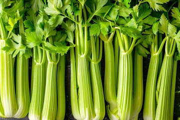 Obraz premium Green celery background. Top view,