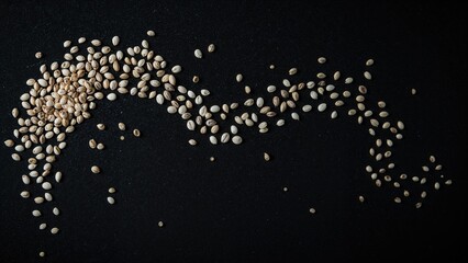 Fototapeta premium Various seed types spread out on a dark background