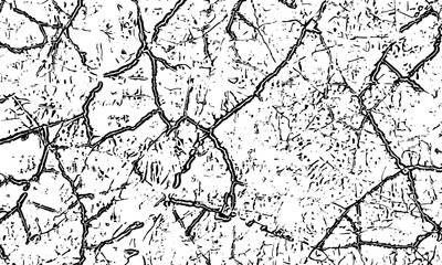 Obraz premium black and white artwork featuring intricate geometric line art patterns and organic structures cracked texture with a network lines and patterns creating a textured effect
