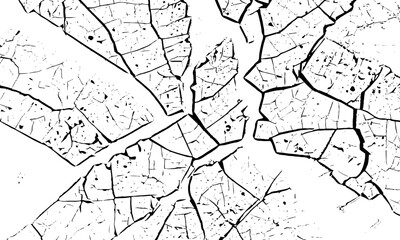 black and white image of cracked surface with angular shapes and intersecting lines creativity and graphic design.