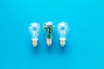 Light bulb with green plant, top view. Eco renewable energy concept.