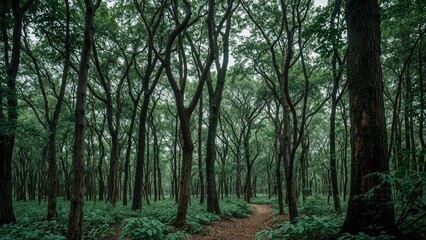 Obraz premium Rainfall awakens the vibrant flora in dense tropical jungles