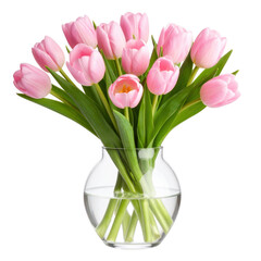 pink tulips in a vase isolated on white and transparent background