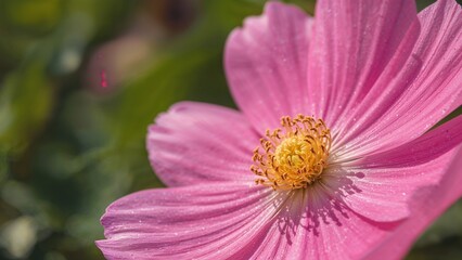 Macro shot of vibrant pink plant stamens in a lush environment