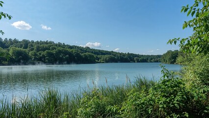 Tranquil summer afternoon beside a calm lake (shades of green)