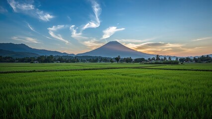 Fototapeta premium Dawn over agricultural rice terraces