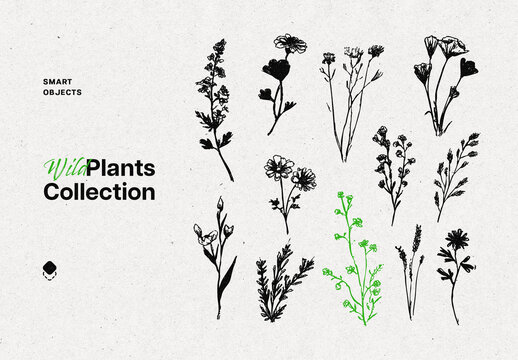 Wild Flowers Ink Graphic Set