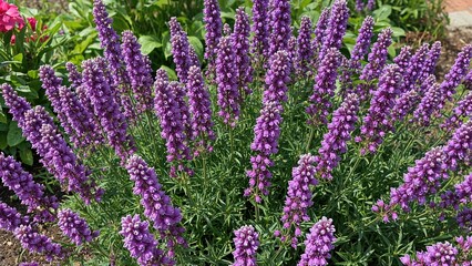 Vibrant Violet Blooms in a Lush Green Setting