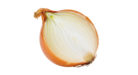 Isolated cut onion