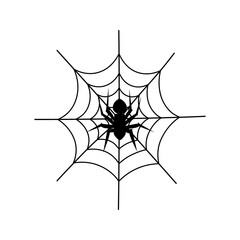 Black spider on a white spiderweb arachnid
