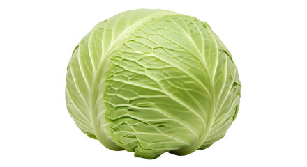 Fototapeta premium Isolated fresh green cabbage