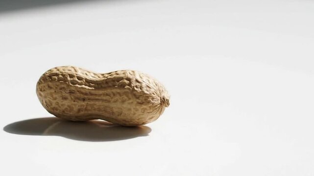 A peanut shell rests on a bright white surface casting a shadow