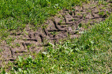 Tractor tire tracks, footprints in green grass