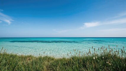 The glowing panorama of the frosty coast