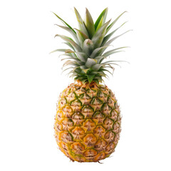 Single pineapple, vibrant yellow-gold skin, with green leaves