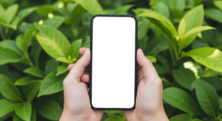 Mockup image of a beautiful man pointing finger at a mobile phone with blank white screen