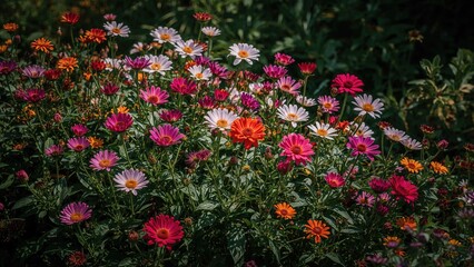 The flourishing flowers are absolutely beautiful