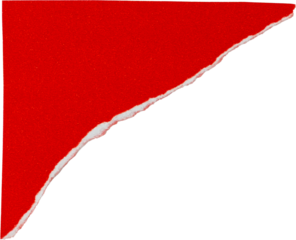 Red torn paper texture isolated on white background for creative design and artistic projects