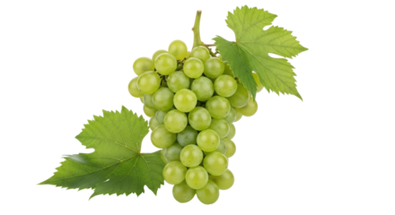 Isolated Green Grapes Bunch