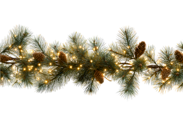 Christmas Pine Branch with Cones and Warm String Lights, Front View, Isolated on Transparent Background
