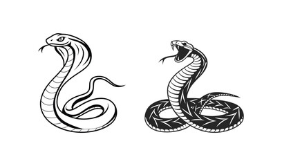 Obraz premium Two cobra snakes in defensive pose illustration hand drawn style