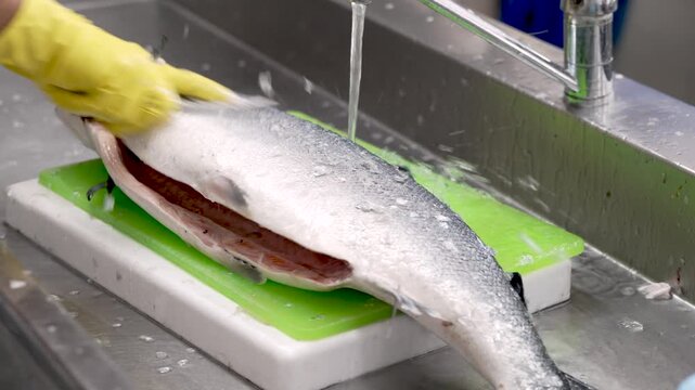 A skilled chef deftly cleans a fresh fish at a vibrant culinary workspace, showcasing techniques in fileting and preparing seafood for an upcoming dish