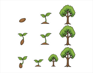 Tree Growing growth cycle icon, free to use
