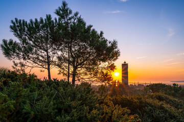 The newly risen sun shines between a pine tree and the De Brandaris lighthouse on the island of Terschelling