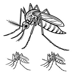 A detailed vector illustration set of insects and spiders, perfect for bug-themed designs, icons, and nature-inspired tattoos