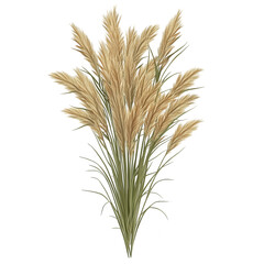 Fototapeta premium Beige pampas grass bunch, stylized