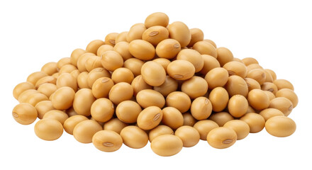 Isolated Pile of Soybeans