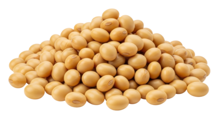 Isolated Pile of Soybeans