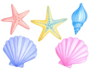 Watercolor illustration of starfish and seashells in various colors on white background