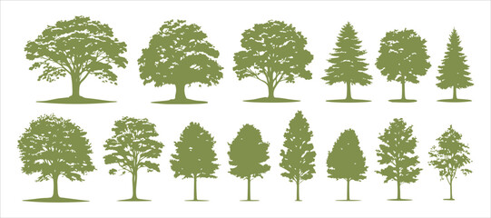 A collection of trees set against a white background. Neatly arranged and grouped for simple editing.

