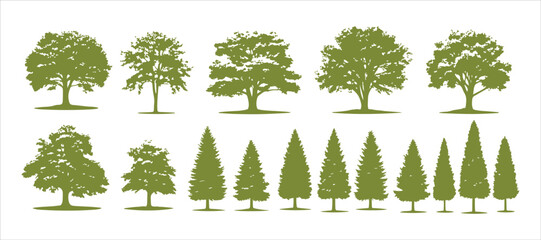 Trees arranged on a white backdrop. Thoughtfully layered and grouped for effortless editing.

