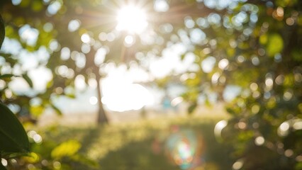 Vacation theme with abstract bokeh and sunlight flares over blurred green and yellow nature at sunrise on the shore