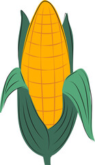 vector illustration of corn