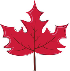 maple leaf vector