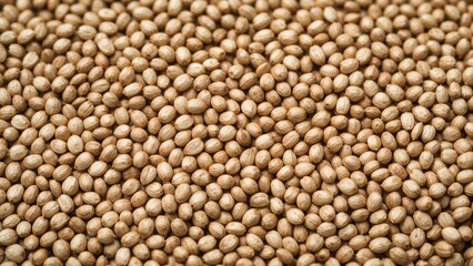 Fototapeta premium Close-up of organic sunflower seeds with blurred backdrop