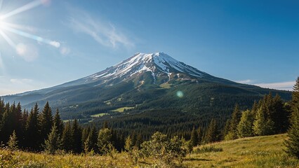 Summer hiking destination showcasing a snow-topped mountain and vibrant nature