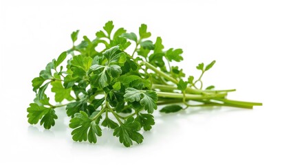Fresh green vegetable isolated on white backdrop. Concept of nutritious eating. Watercress on natural surface with spring leaves.