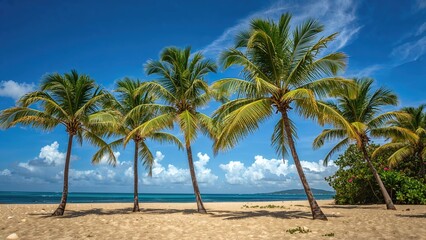 Obraz premium Lush Palm Trees Glowing in the Radiant Afternoon Sun with Ocean View