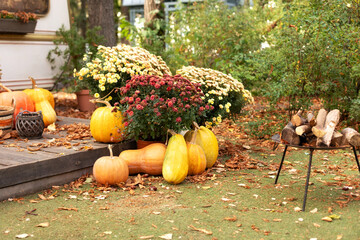 Porch decorated for Halloween, Thanksgiving, cozy fall season. Exterior terrace with fall decorations. Pumpkins on steps house. Decorated entrance to house with pumpkins in basket and chrysanthemums.	