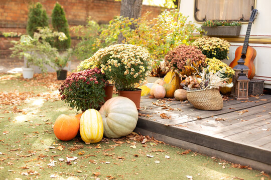 Baskets with pampas grass. Dried flowers, ears and spikelets in wicker vase. Exterior porch house with fall decor. Interior cozy yard with fall flowers chrysanthemums potted and pumpkins. Halloween.	

