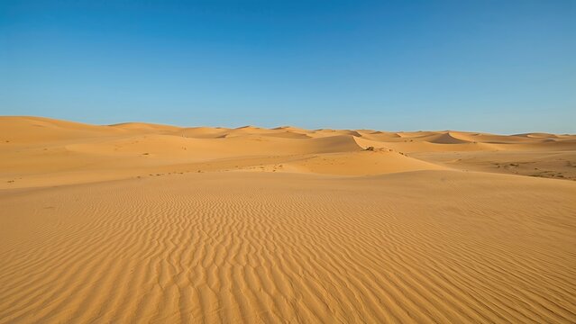 Vast sandy landscape under a bright sky. Village homes once relocated owing to sand shifts, desert spread now controlled by planted trees.