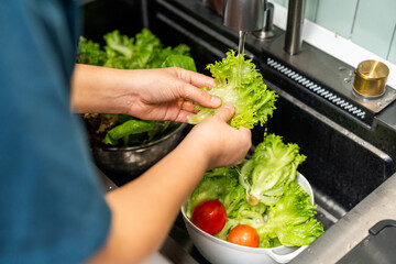 Hands gently rinse fresh salad greens under flowing water in a home kitchen. In a kitchen sink vibrant salad vegetables are thoroughly washed clean eating.