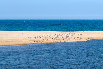 estuary with river and sea